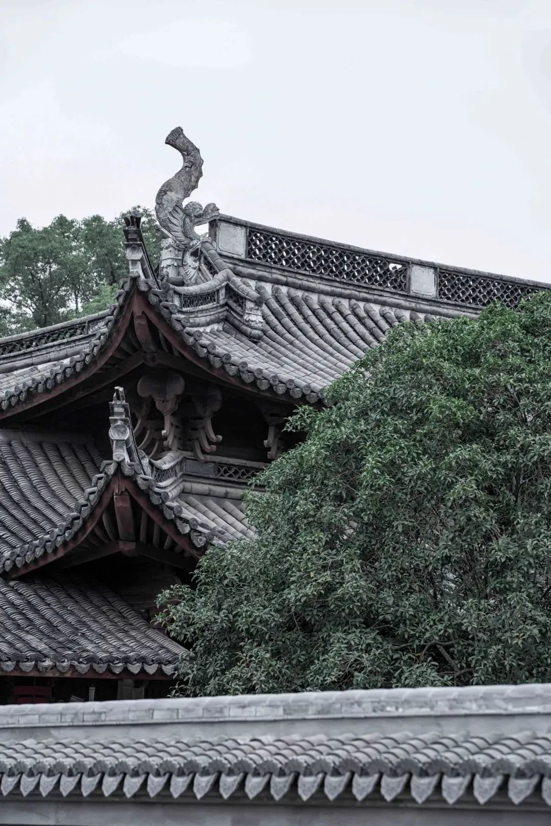 1609064828991359.jpg 9.jpg