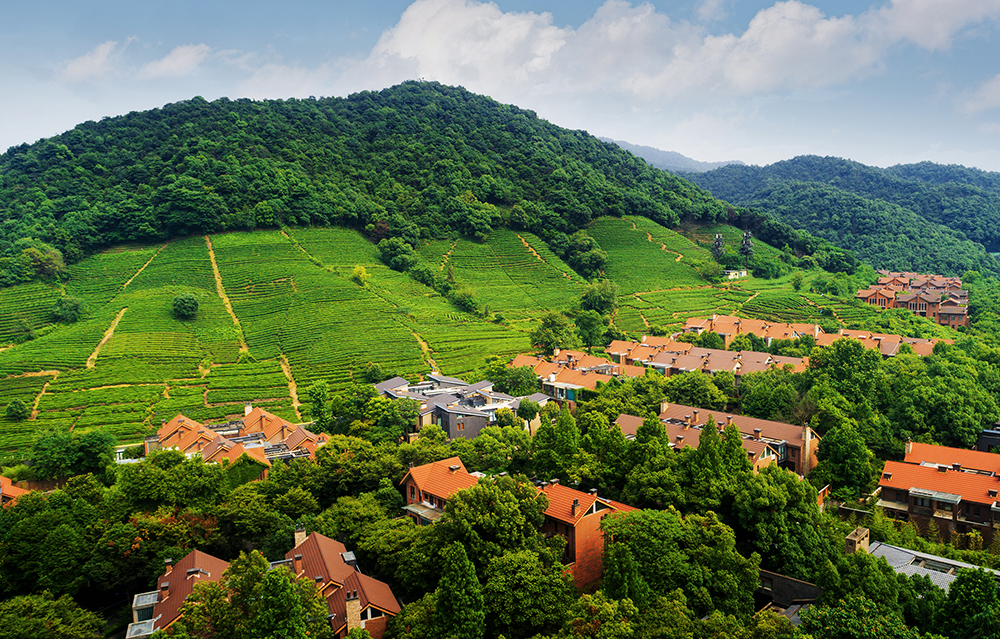 1663827881908555.jpg 大盤(pán)1.jpg